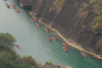 英语单词 关于动物