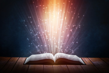 保护生态环境活动总结