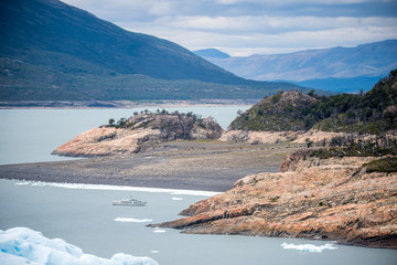 英语单词 关于动物