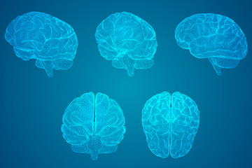 世界环境日活动方案