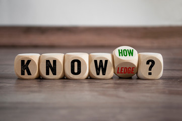 保护生态环境活动总结