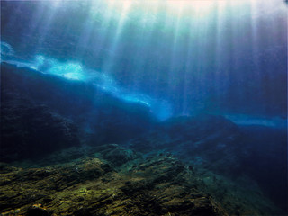 幼儿园小班科学实验教案详案《花儿妙用多》