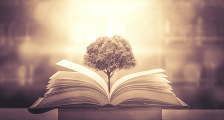 世界环境日活动方案