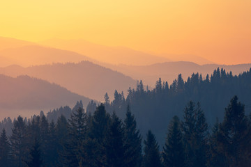 世界环境日活动方案