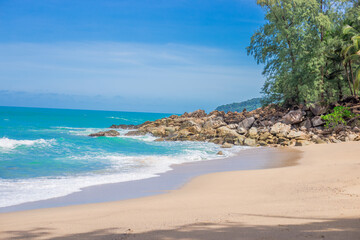 世界环境日活动方案