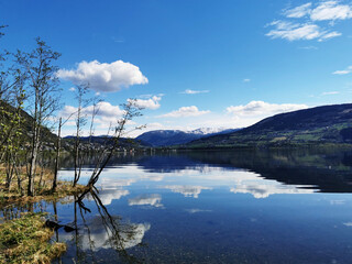 世界环境日活动方案