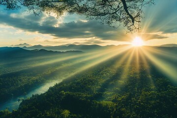 幼儿园小班科学实验教案详案《花儿妙用多》