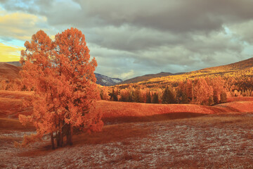 保护生态环境活动总结