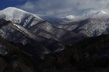 英语单词 关于动物