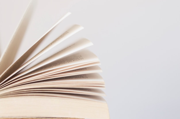 英语单词 关于动物