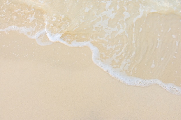 保护生态环境活动总结