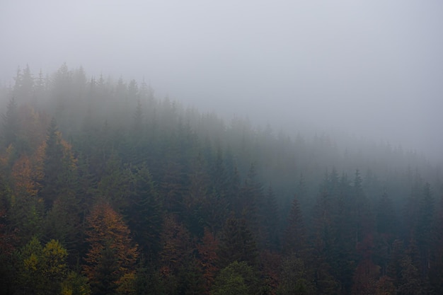 安庆古玩市场集市时间