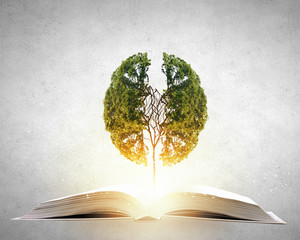 让数学走进生活让数学走进生活-一年级数学小故事