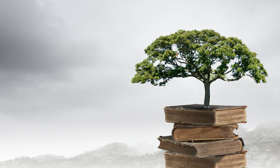 含有动物名称的成语100个