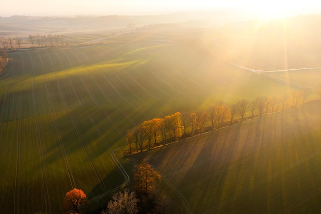 含有动物名称的成语100个