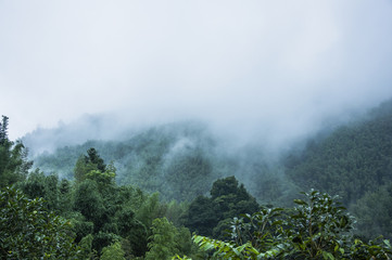让数学走进生活让数学走进生活-一年级数学小故事